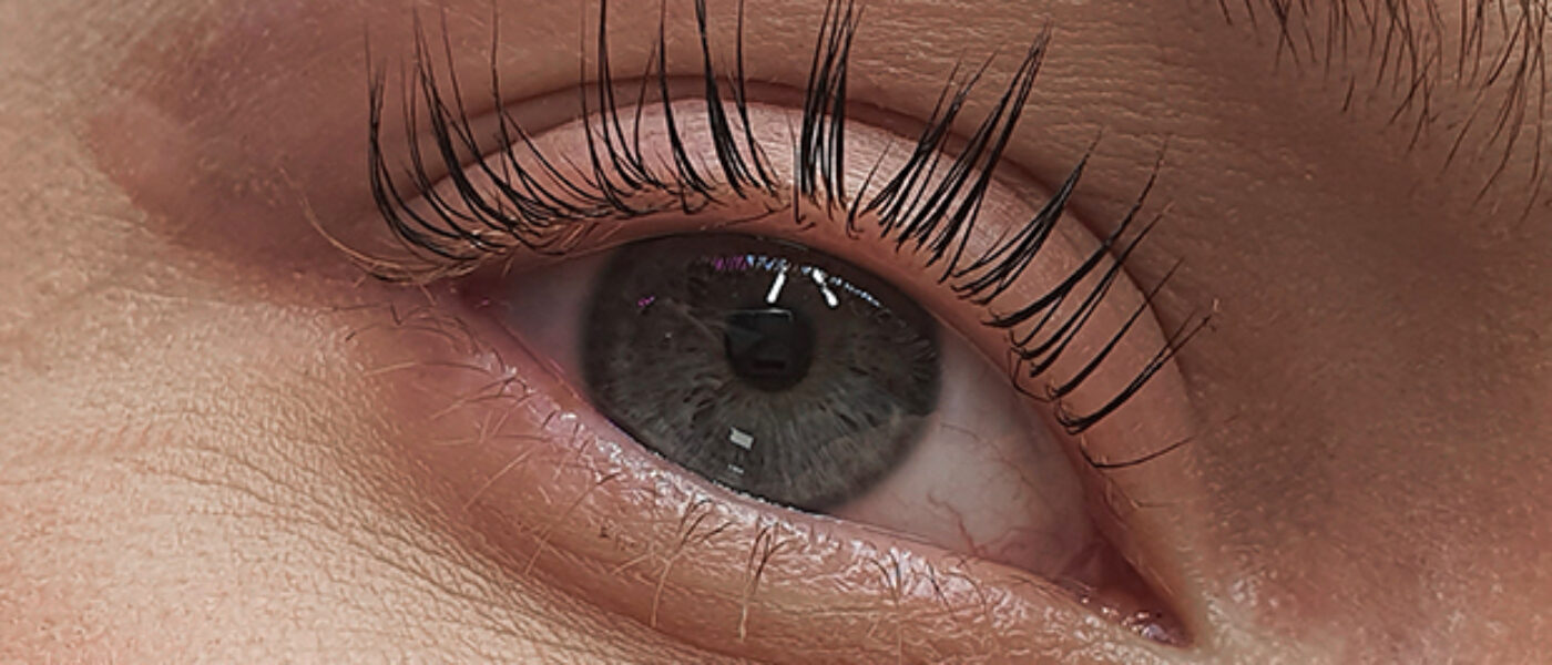 Formation Lash/Brow Lift