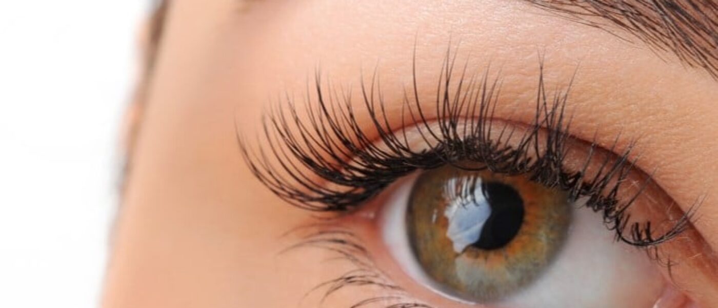 Formation Sourcils poudrés
