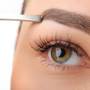 Formation Sourcils poudrés